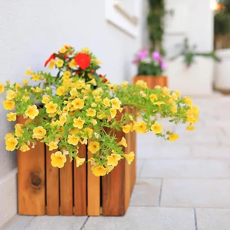 Luxury Apart-hotel Zadar